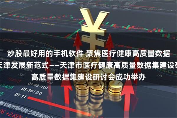 炒股最好用的手机软件 聚焦医疗健康高质量数据集建设，探索天津发展新范式——天津市医疗健康高质量数据集建设研讨会成功举办