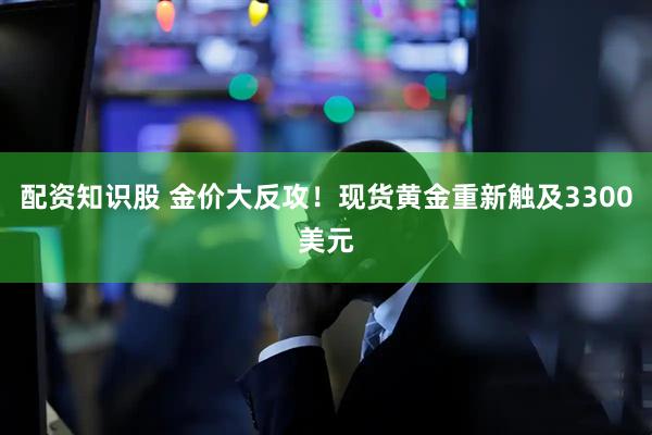 配资知识股 金价大反攻！现货黄金重新触及3300美元
